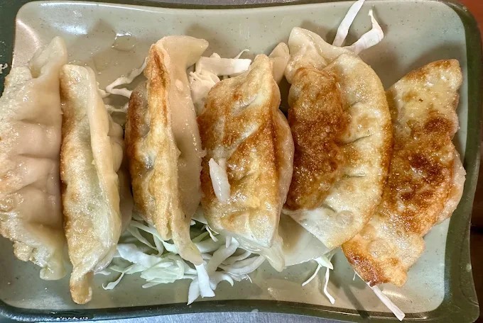 Fried Dumpling (6)